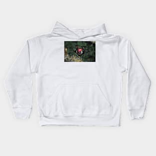 Christmas Joy Kids Hoodie